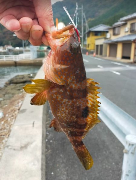 初めてジギングで釣れました